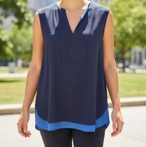 BCBG Max Azria Navy and Blue V-Neck Blouse.